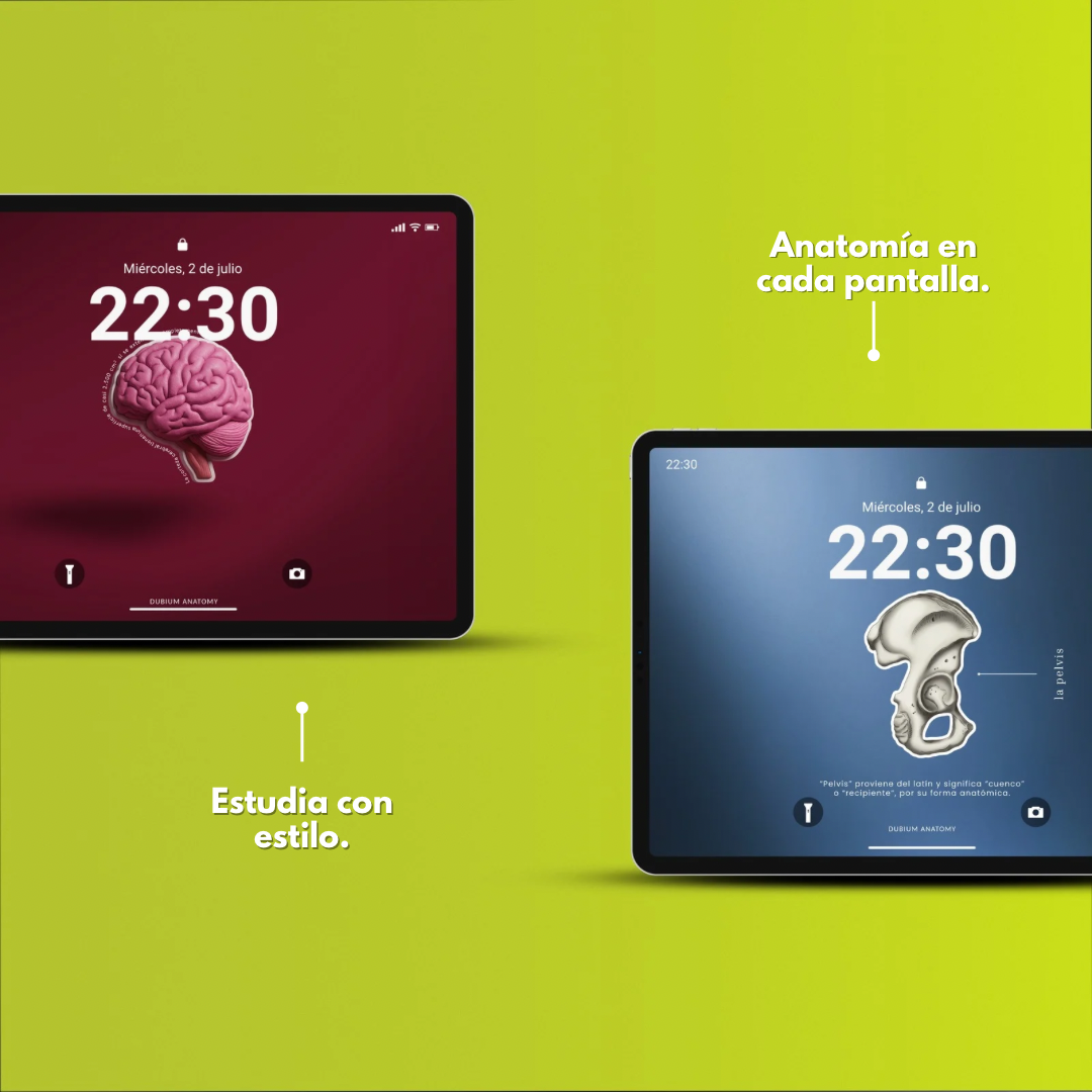 Anatomy Wallpaper Pack