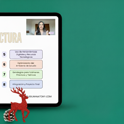 Estrategias de Estudio en Anatomía