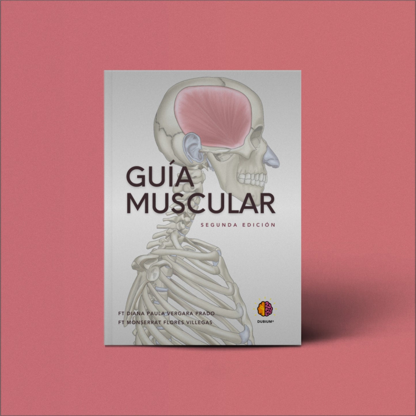 Guía Muscular