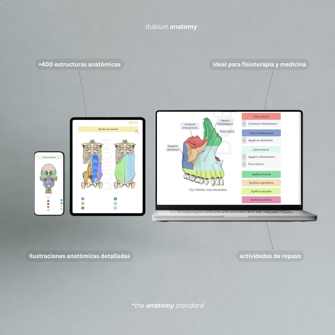 Anatomy Kit