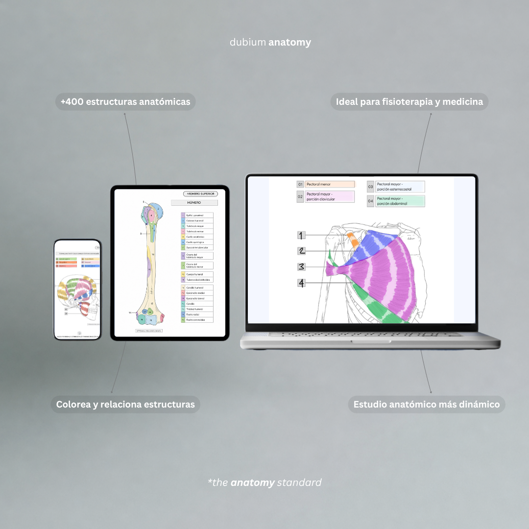 Kit Atlas