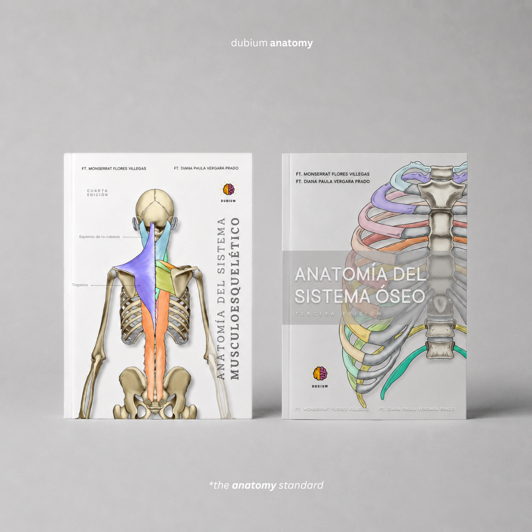 Anatomy Combo Físico