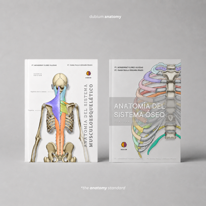 Anatomy Combo Físico