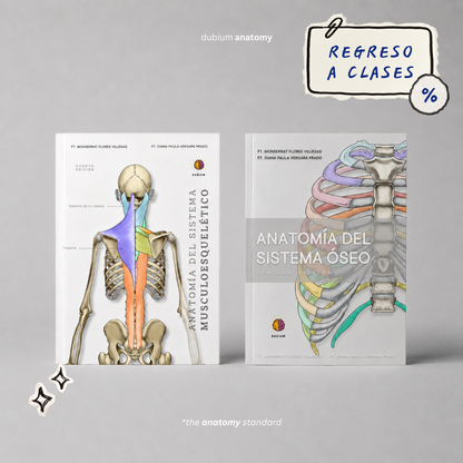 Anatomy Combo Físico