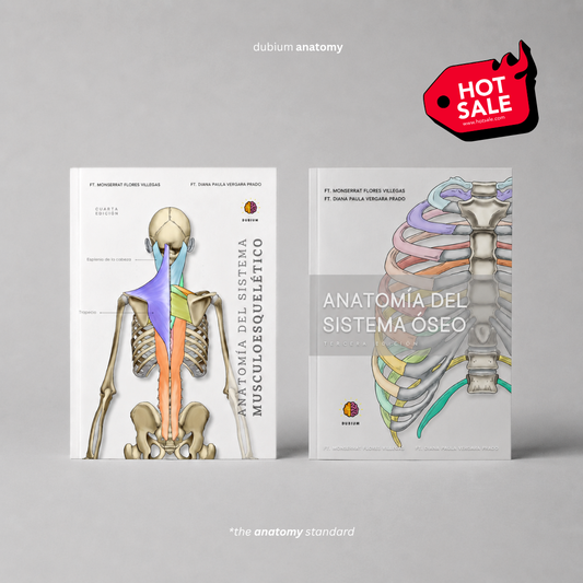 Anatomy Combo Físico