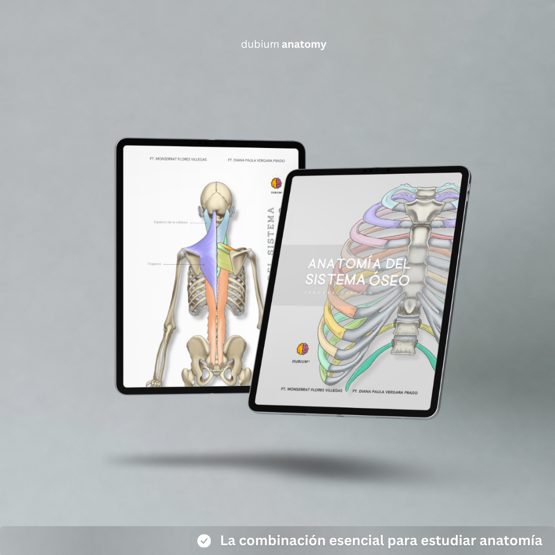 Anatomy Kit