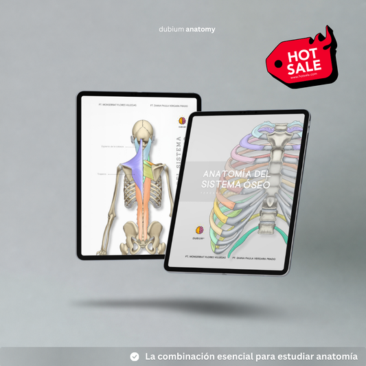 Anatomy Combo