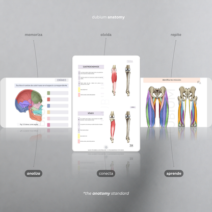 Anatomy Kit