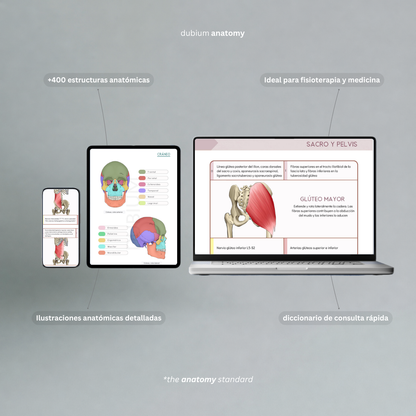 Anatomy Kit