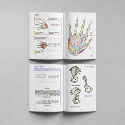 Anatomy Dúo Físico