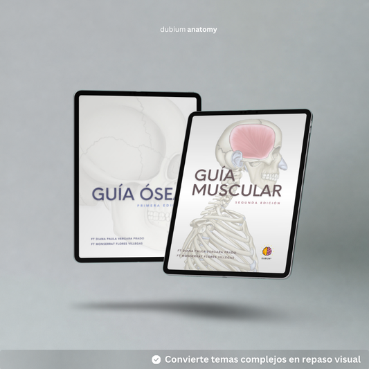 Anatomy Dúo