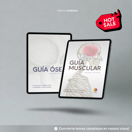 Anatomy Dúo