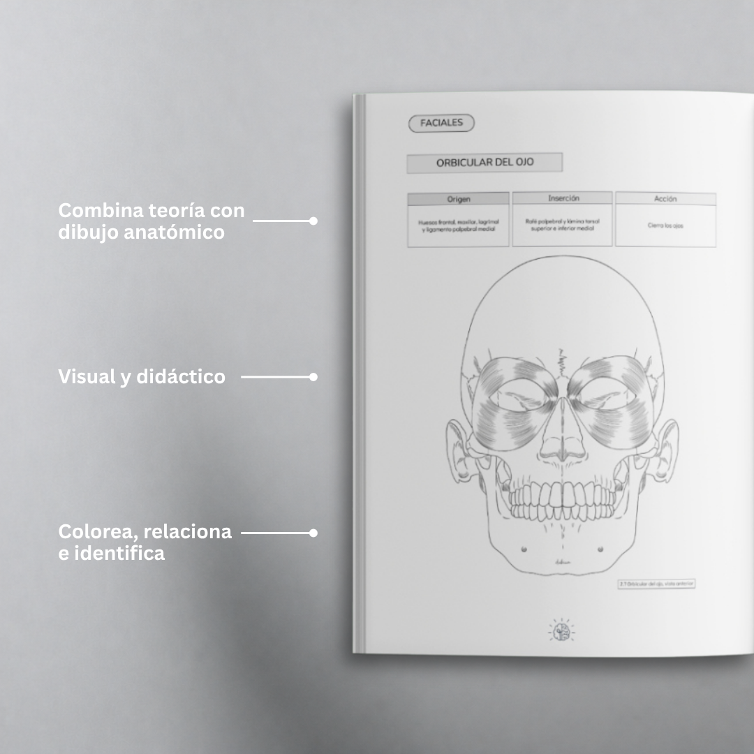 Libro Atlas Muscular Coloring Book