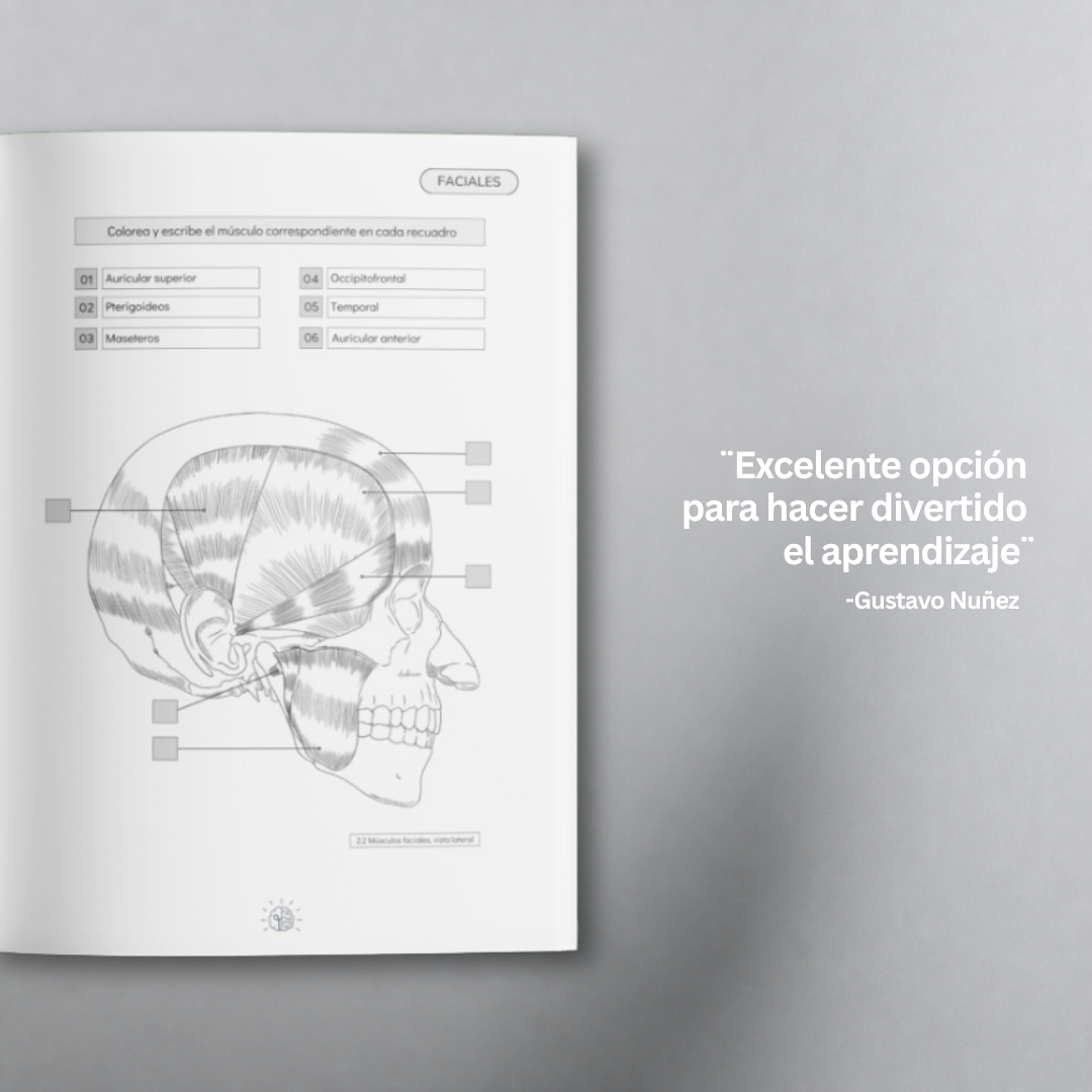 Libro Atlas Muscular Coloring Book