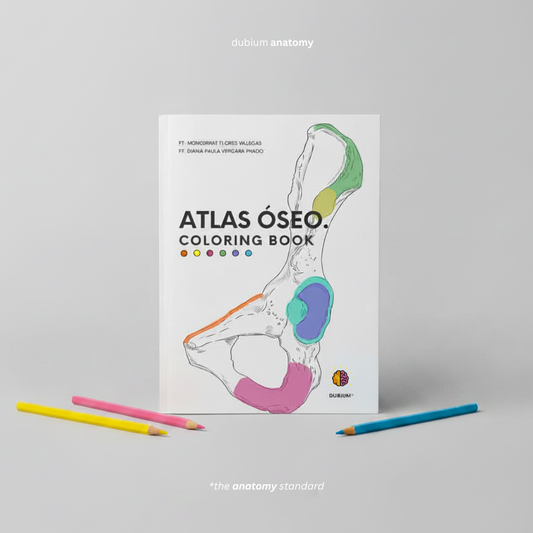 Libro Atlas Óseo Coloring Book