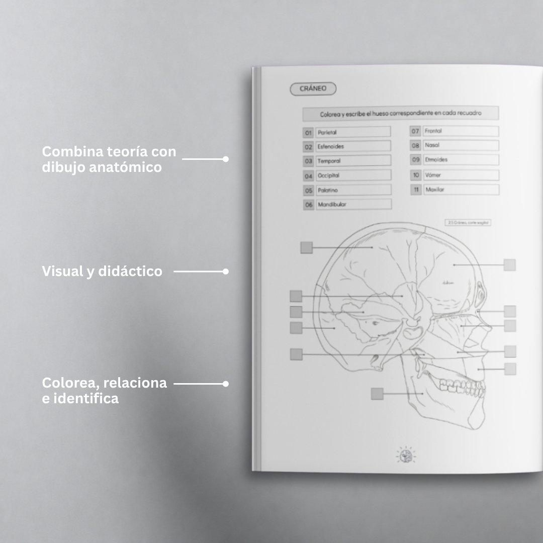 Libro Atlas Óseo Coloring Book