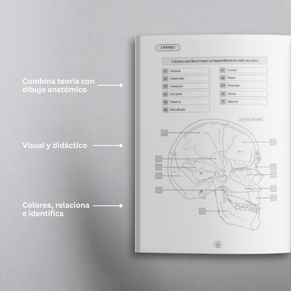 Libro Atlas Óseo Coloring Book