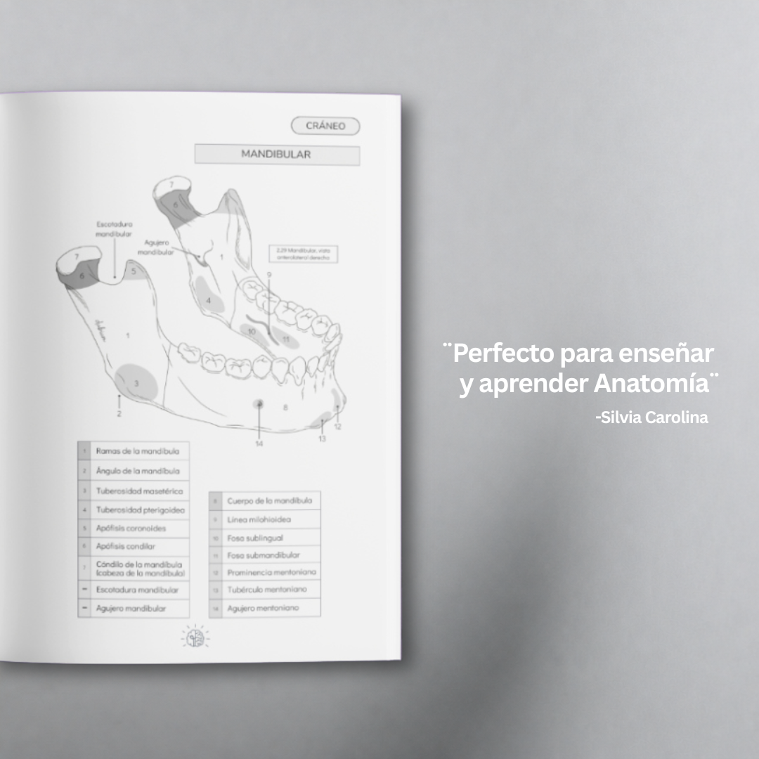 Libro Atlas Óseo Coloring Book