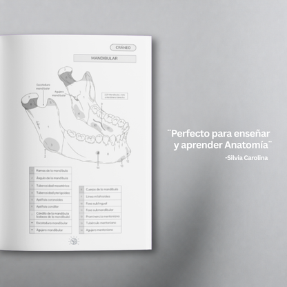 Libro Atlas Óseo Coloring Book