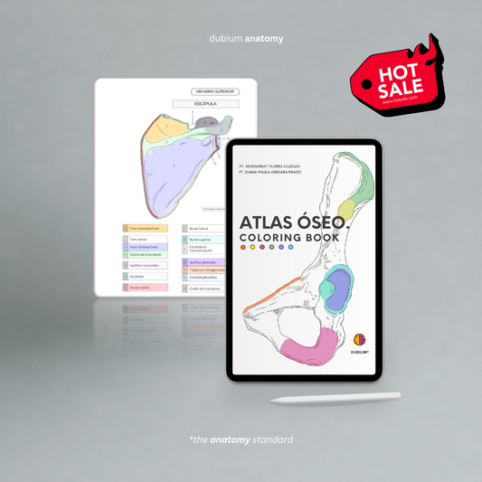 Atlas Óseo Coloring Book