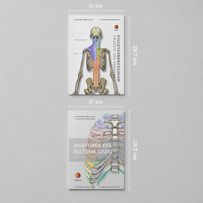 Anatomy Combo Físico