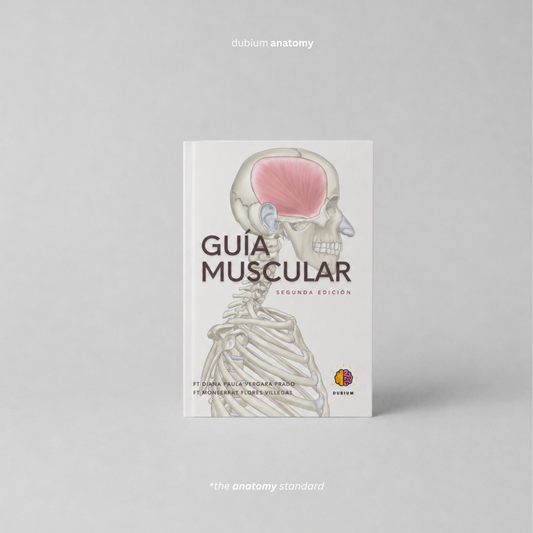 Libro Guía Muscular