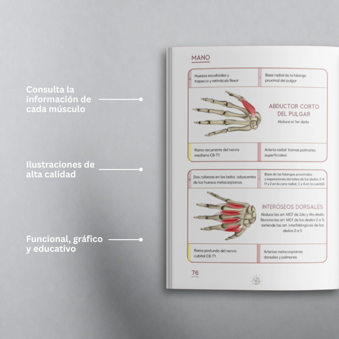 Libro Guía Muscular