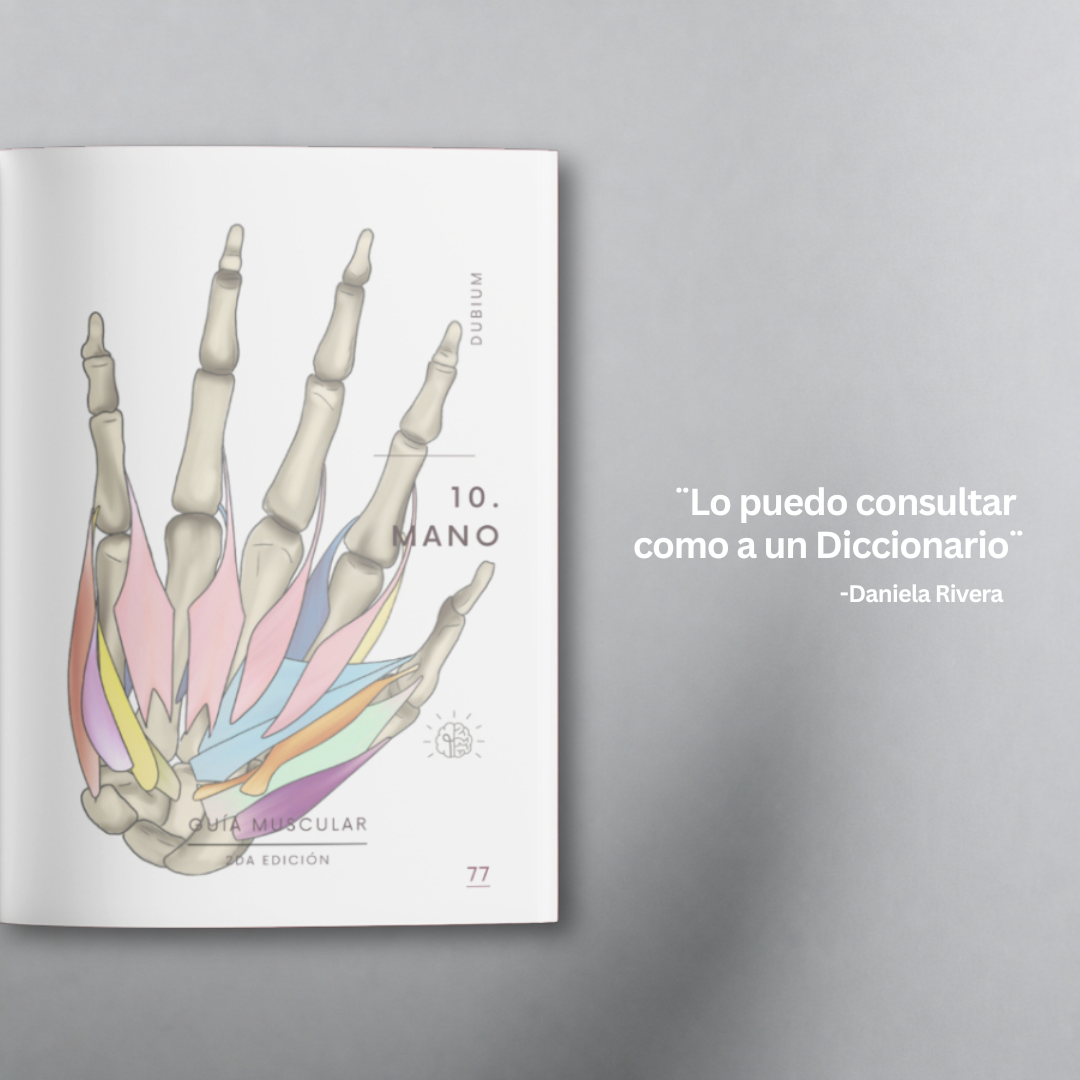 Libro Guía Muscular
