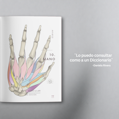 Libro Guía Muscular