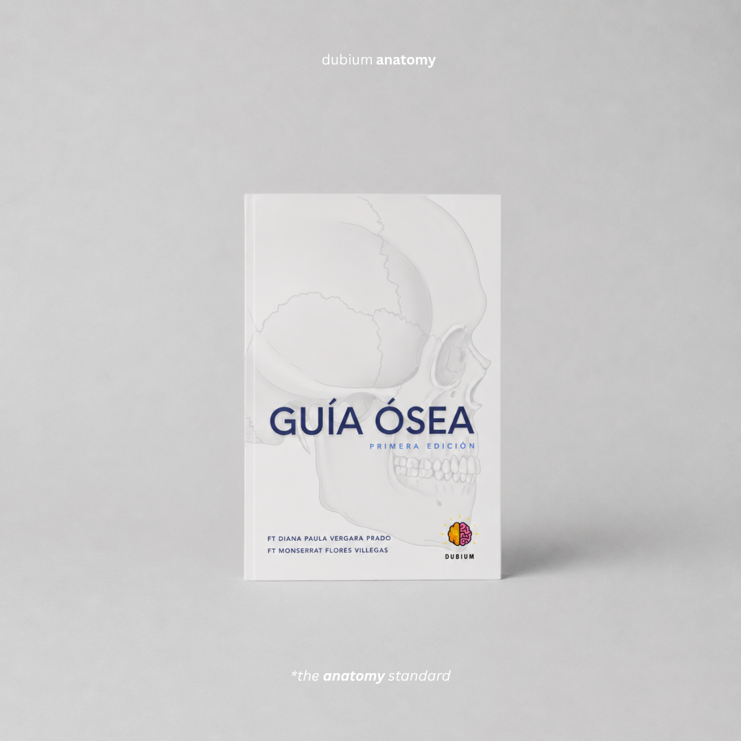 Libro Guía Ósea