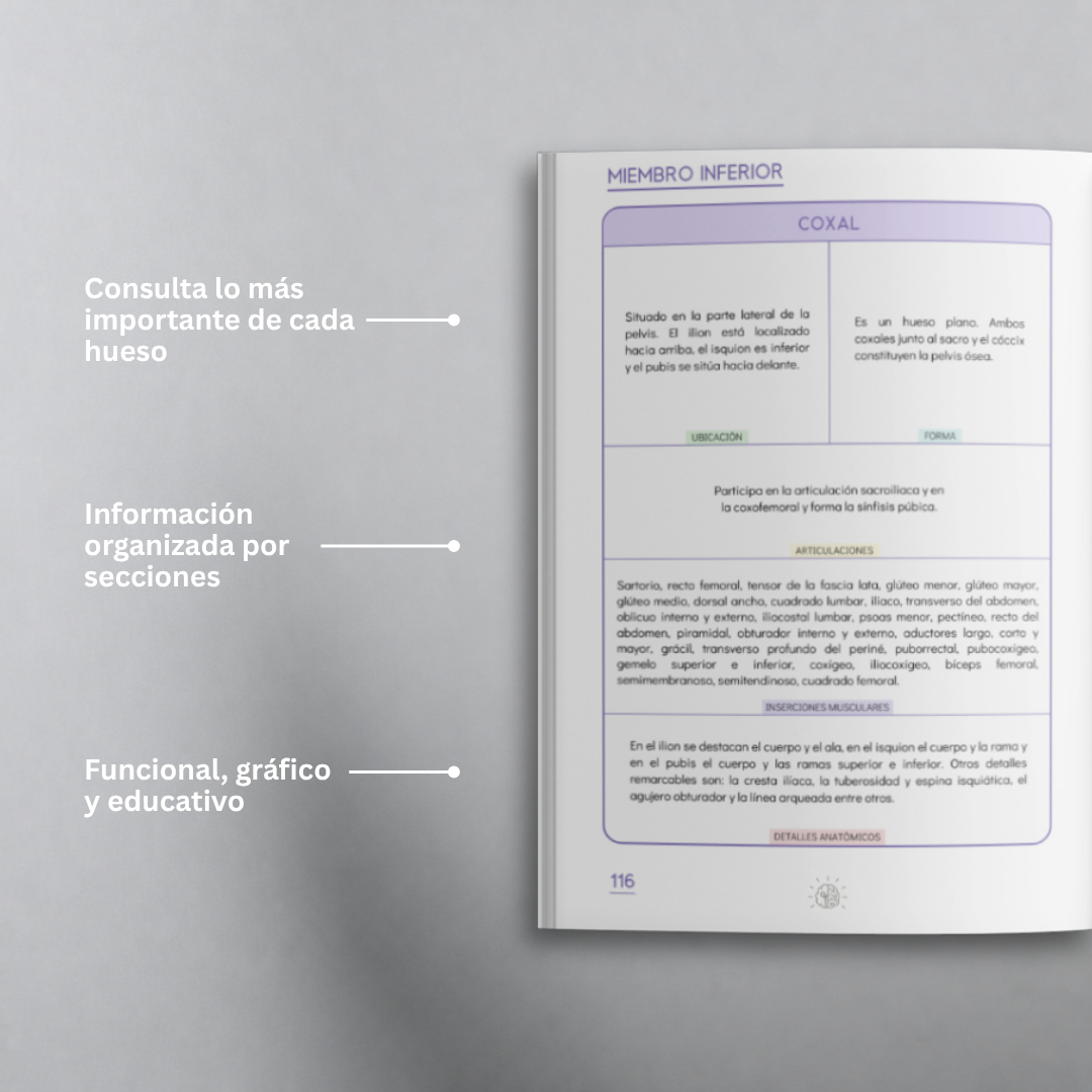 Libro Guía Ósea