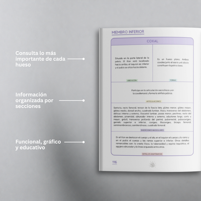 Libro Guía Ósea