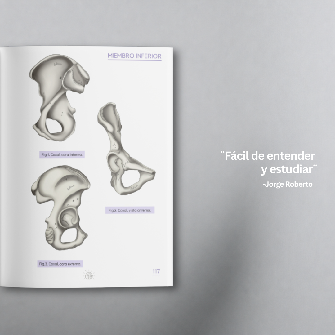 Libro Guía Ósea