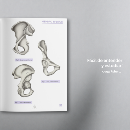 Libro Guía Ósea