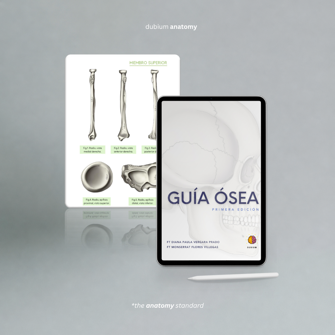 Guía Ósea