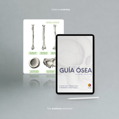 Guía Ósea