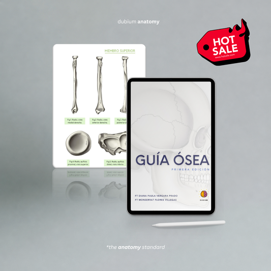 Guía Ósea