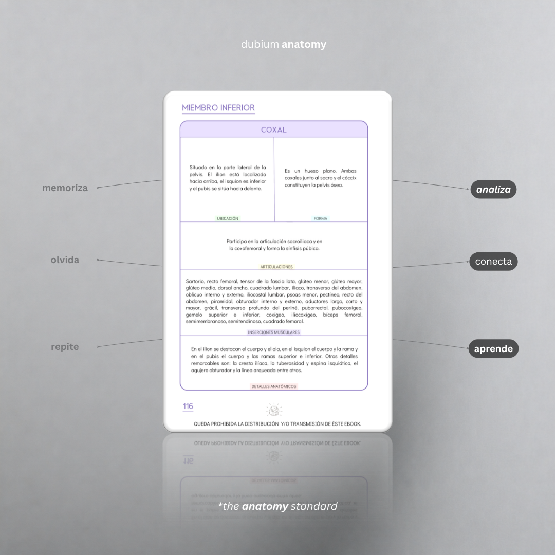 Guía Ósea