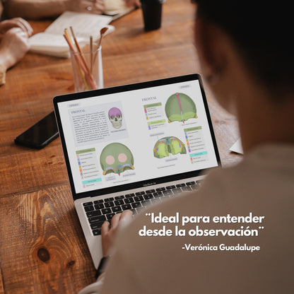 Anatomía del Sistema Óseo