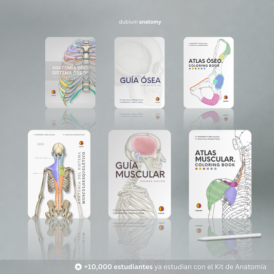 Kit de Anatomía