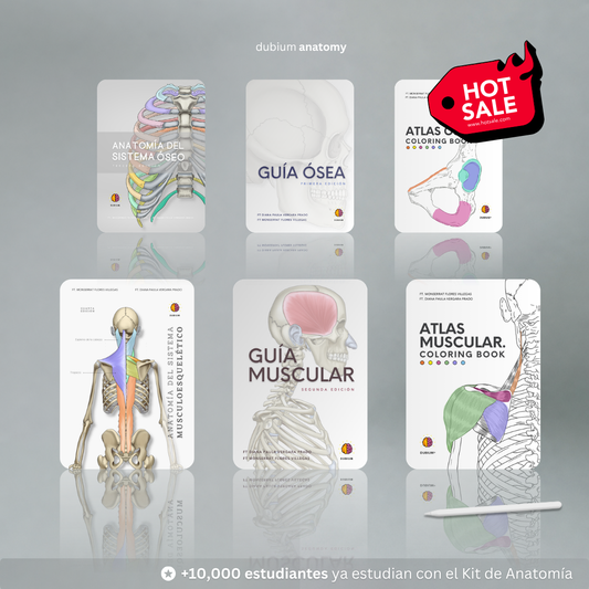 Kit de Anatomía