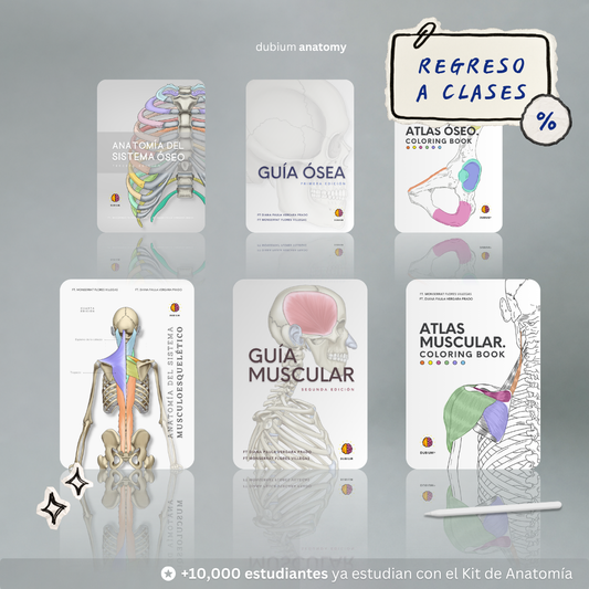 Kit de Anatomía