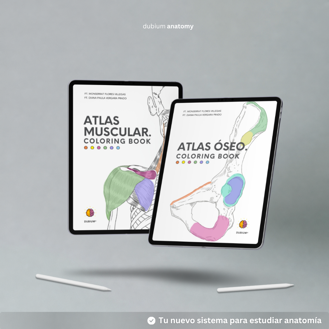Kit Atlas