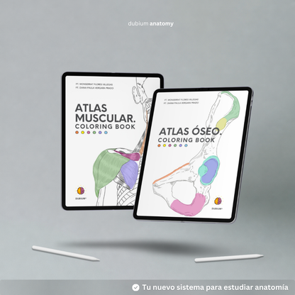 Kit Atlas