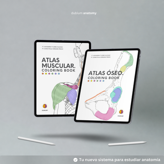 Kit Atlas