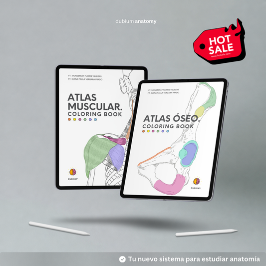 Kit Atlas