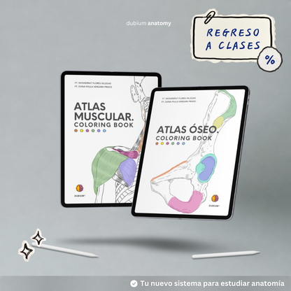 Kit Atlas