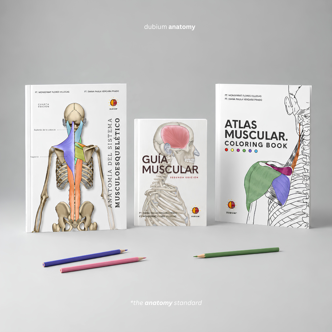 Kit Experto en Músculos Físico