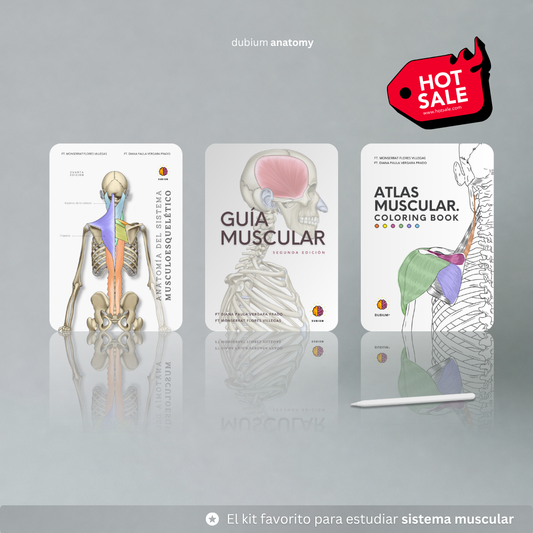 Kit Experto en Músculos