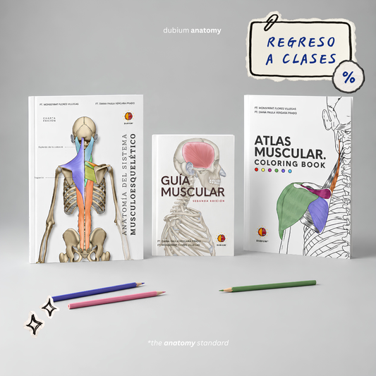 Kit Experto en Músculos Físico